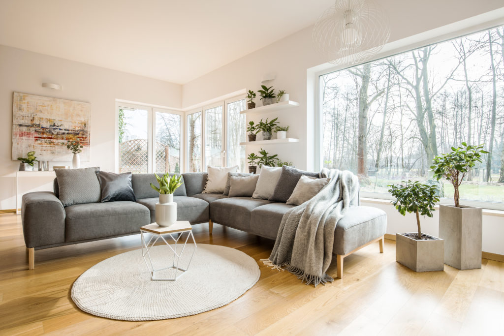 Blankets and cushions on corner grey sofa standing in white living room interior with fresh plants, big window and abstract painting