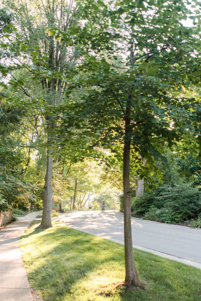 A sunny road in one of the best neighborhoods in Madison, WI, Shorewood HIlls