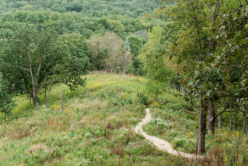 a hiking trail at indian lake county park, hiking is one of the top things to do in madison, wi in the summer